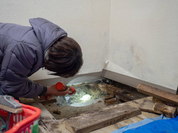 Best Water Damage & Mold Remediation  in West Salem, WI