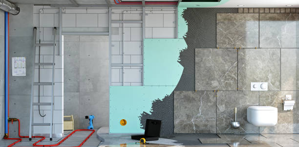 Best Basement Mold Removal  in West Salem, WI