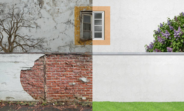 Reliable West Salem, WI Mold Removal Solutions