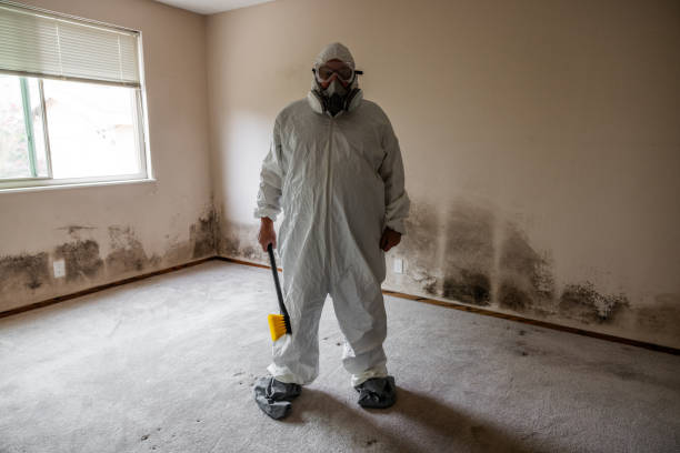 Best HVAC Mold Inspection and Cleaning  in West Salem, WI